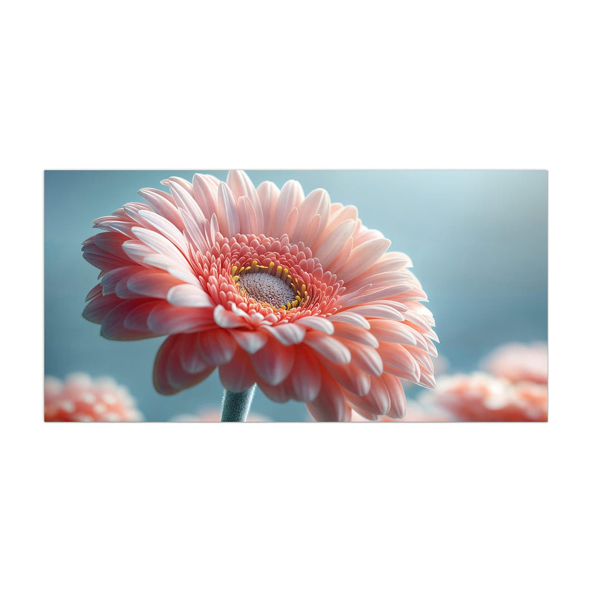 Küchenrückwand aus Glas Rosa Gerbera im Hochformat, Motiv bildfüllend von vorn