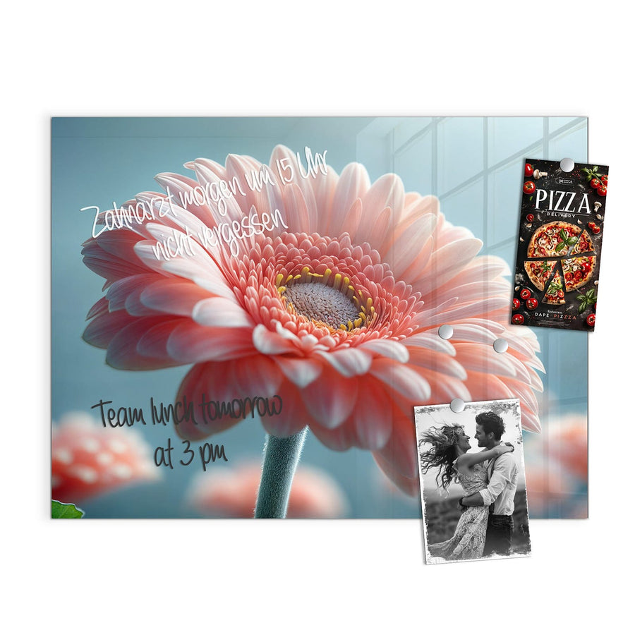 Maße Magnettafel - Rosa Gerbera