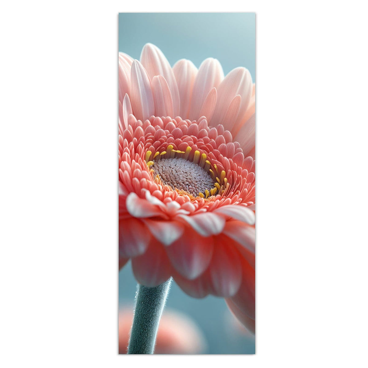 Makro einer rosa Gerbera vor hellblauem Grund