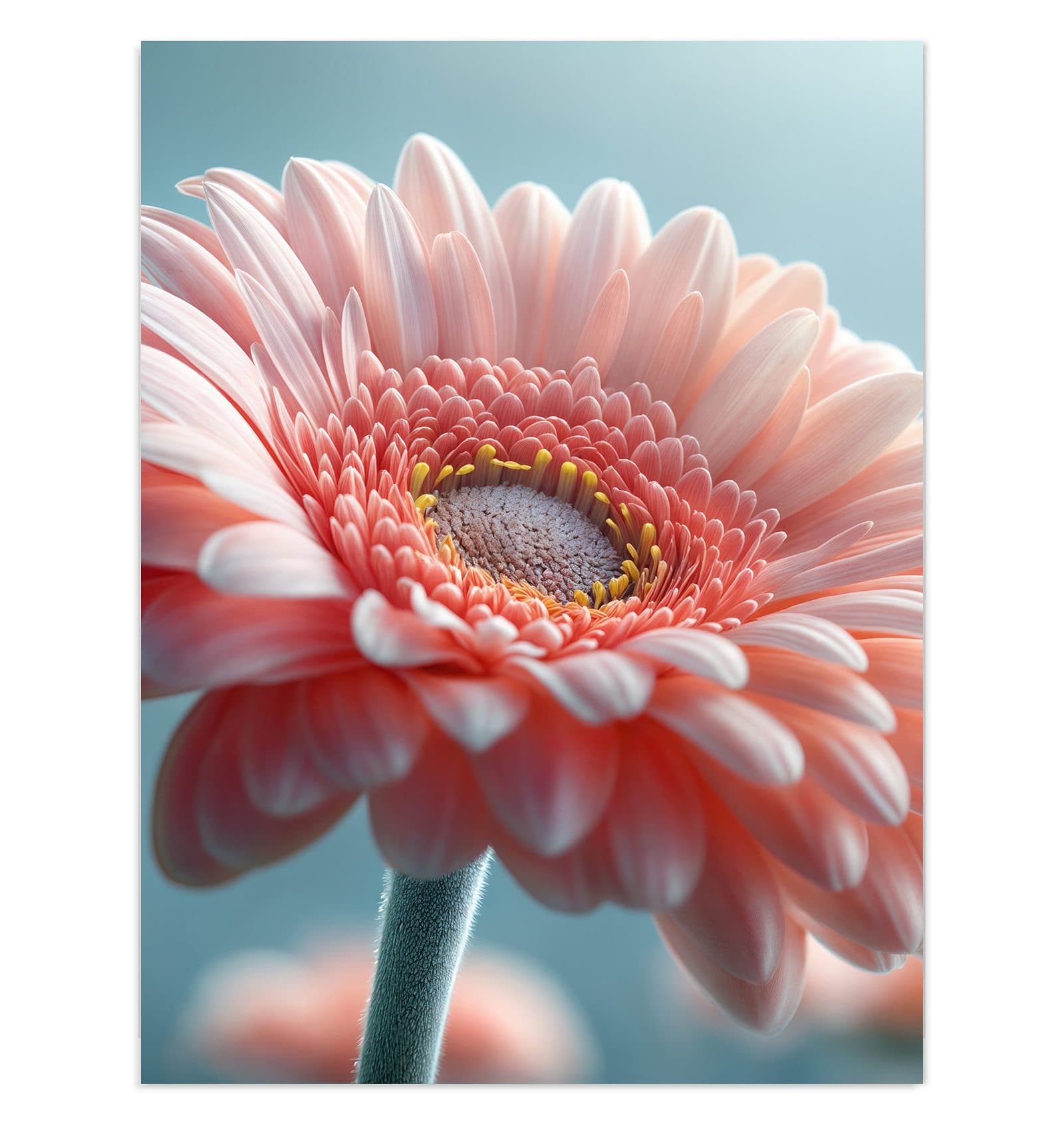 #grösse_30 x 40 cm #grösse_60 x 80 cm #grösse_75 x 100 cm