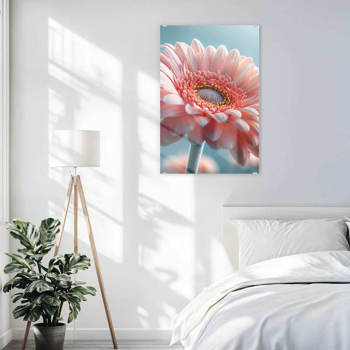 Glasbild Rosa Gerbera an der Wand – Makro einer rosa Gerbera vor hellblauem Grund