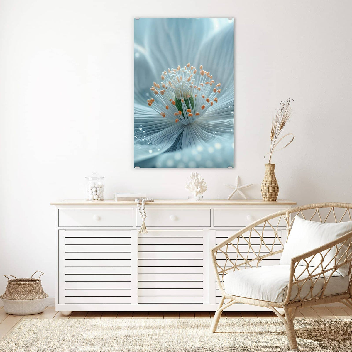 Glasbild Eisblaue Blüte an der Wand – Makro einer eisblauen Blüte mit weißen Staubfäden, orangen Spitzen und Wassertropfen