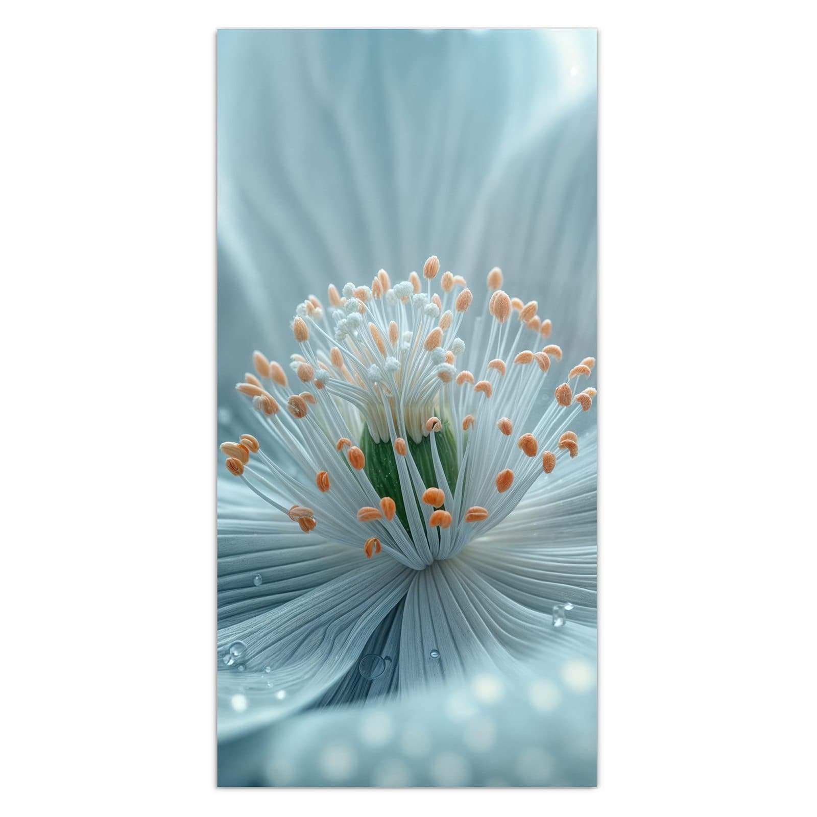 #grösse_30 x 60 cm #grösse_40 x 80 cm #grösse_50 x 100 cm #grösse_55 x 110 cm #grösse_60 x 120 cm