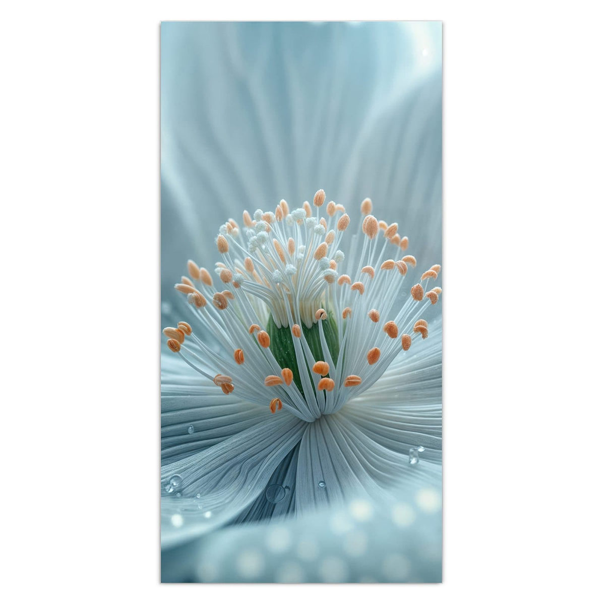 Makro einer eisblauen Blüte mit weißen Staubfäden, orangen Spitzen und Wassertropfen