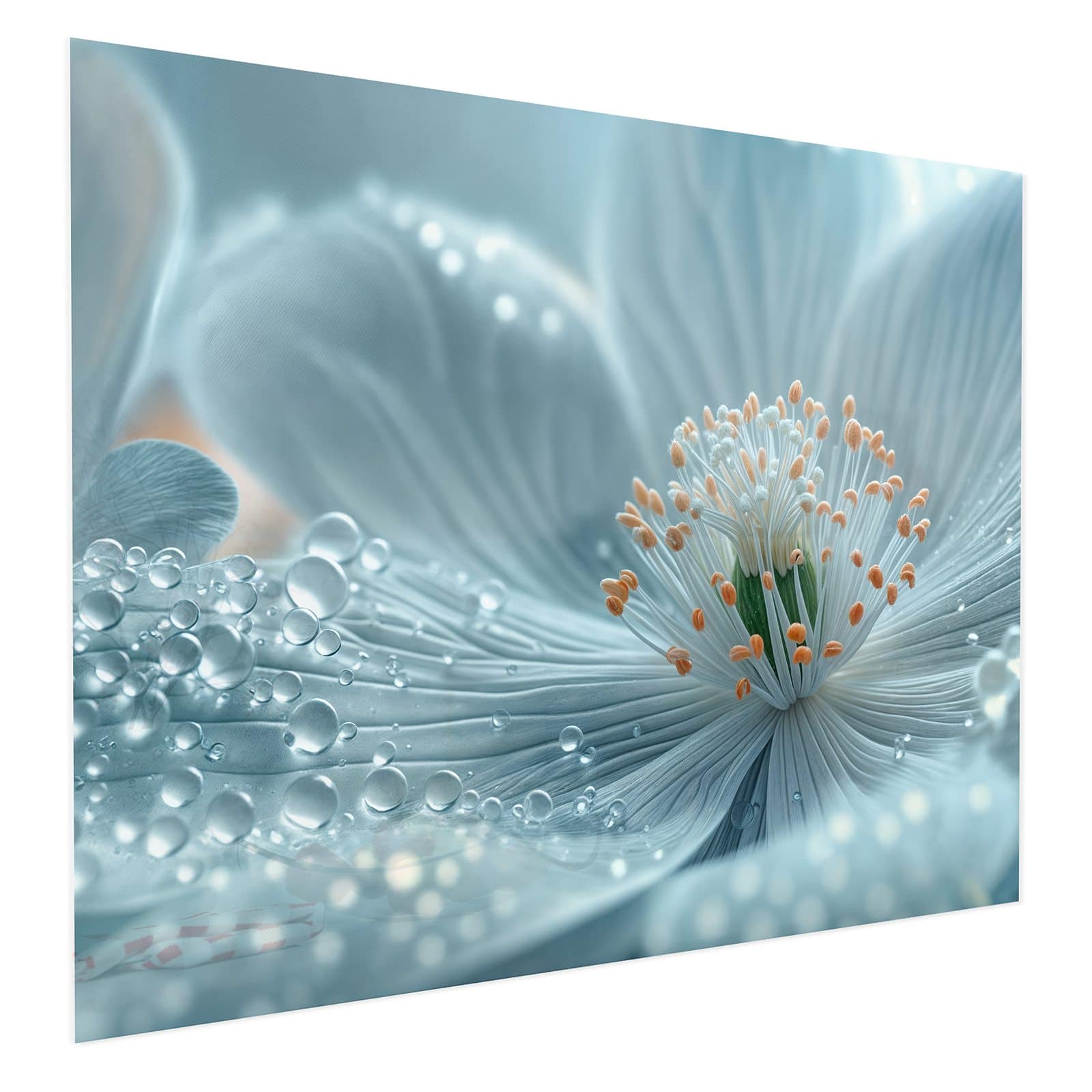 #grösse_75 x 60 cm #grösse_100 x 80 cm