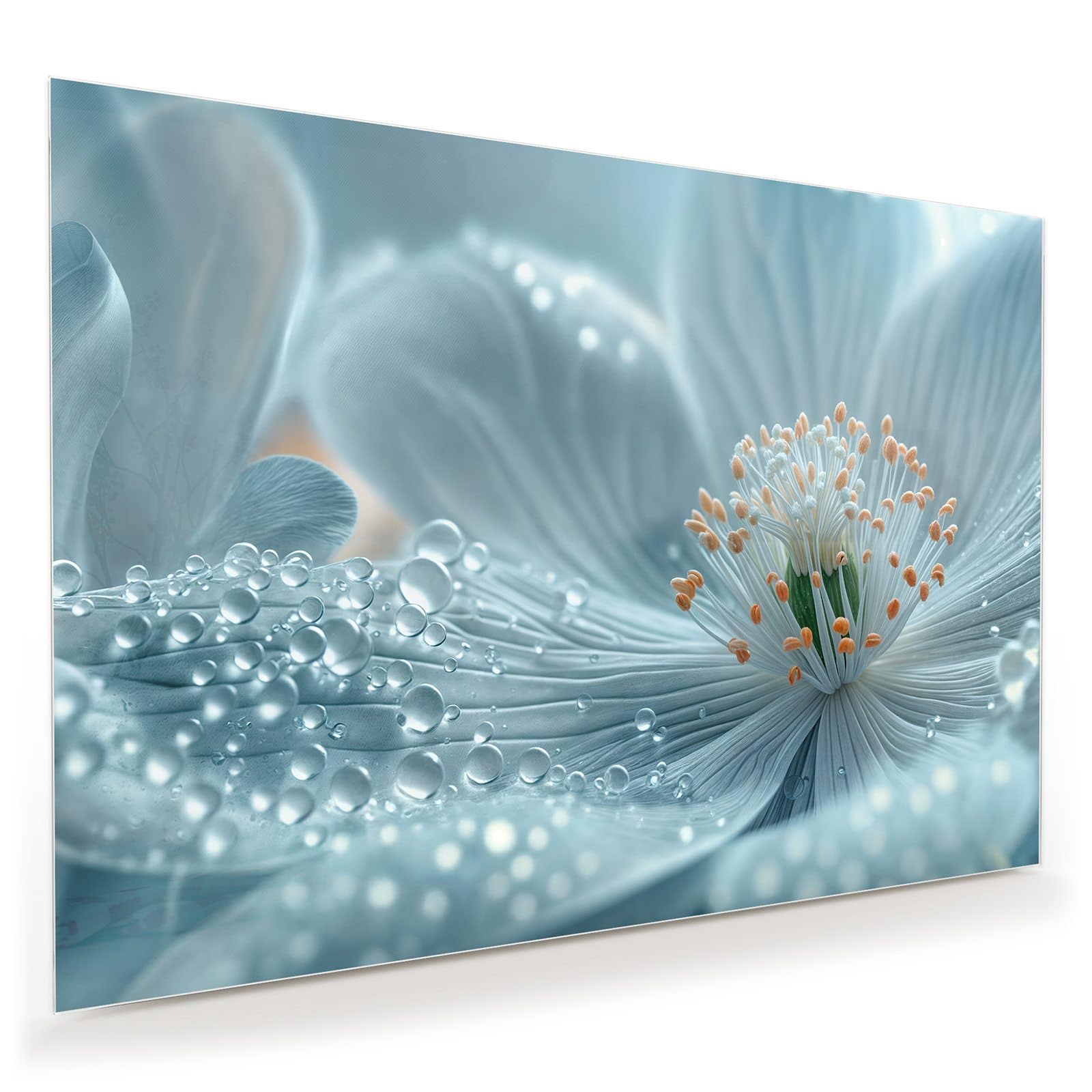 #grösse_100 x 70 cm