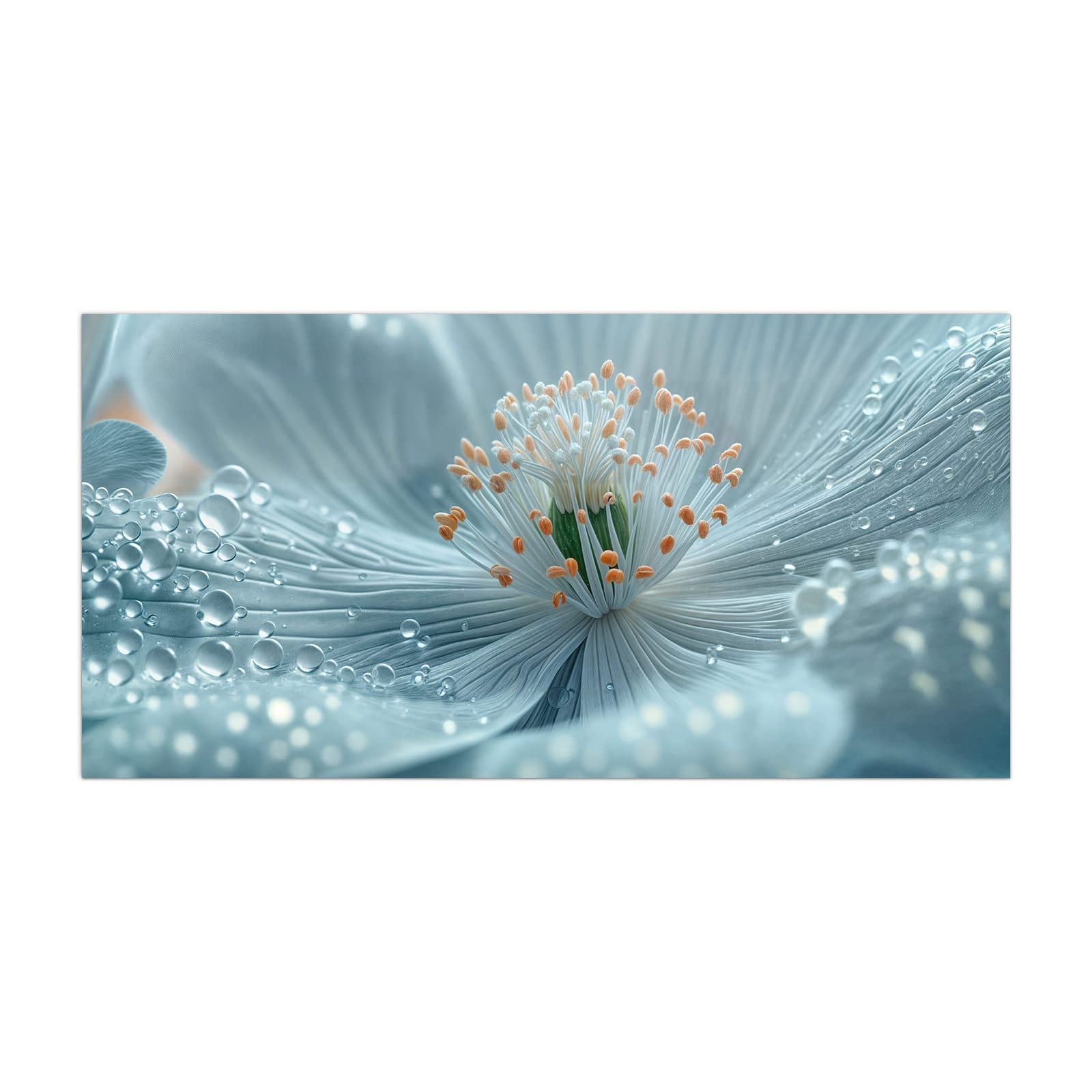 #grösse_40 x 80 cm #grösse_50 x 100 cm #grösse_55 x 110 cm #grösse_60 x 120 cm
