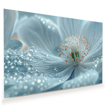 Wandbild mit dem Motiv Eisblaue Blüte