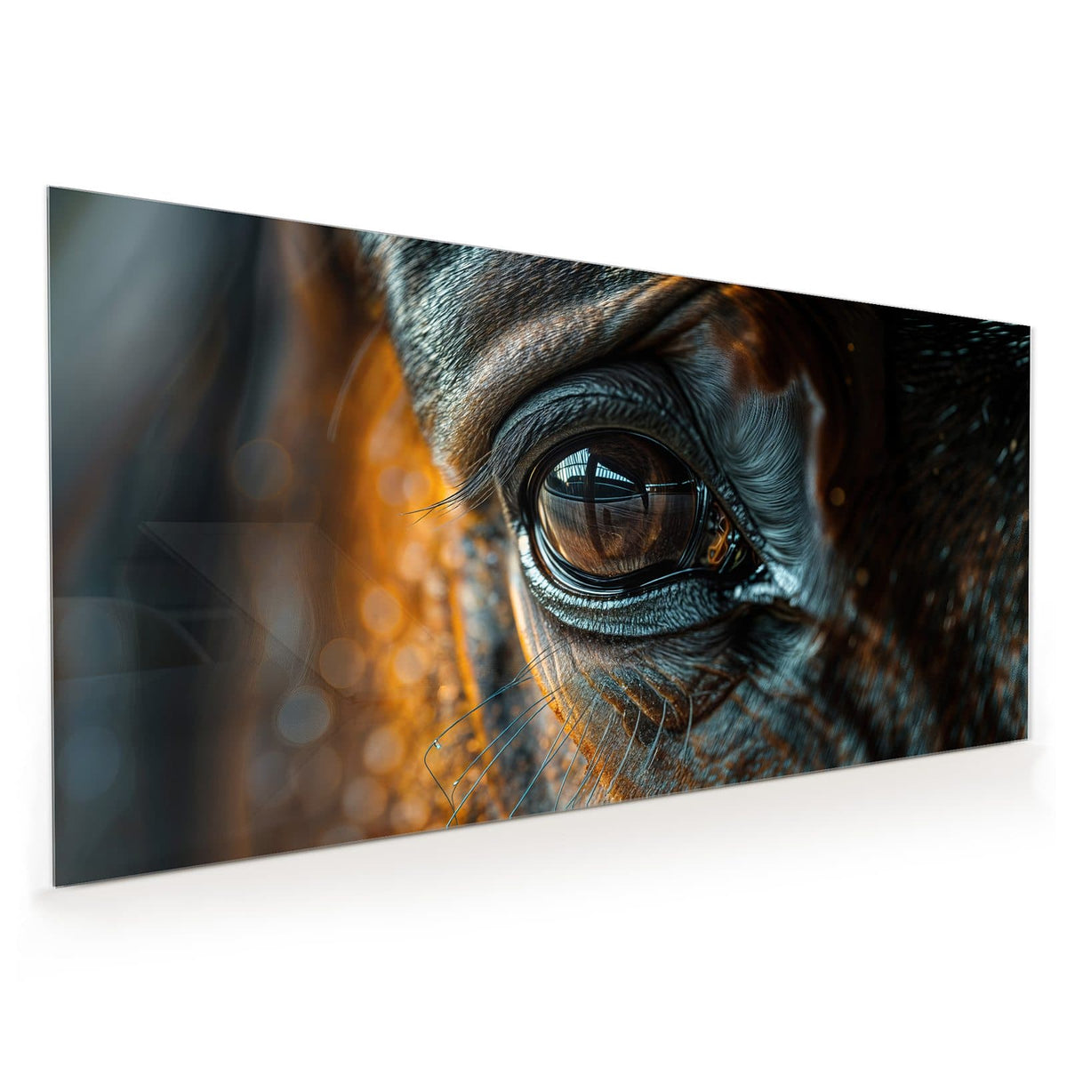 Küchenrückwand aus Glas im Hochformat mit Motiv Pferdeauge im Goldlicht: Nahaufnahme eines Pferdeauges, warmes goldenes Streiflicht auf Fell und Wimpern