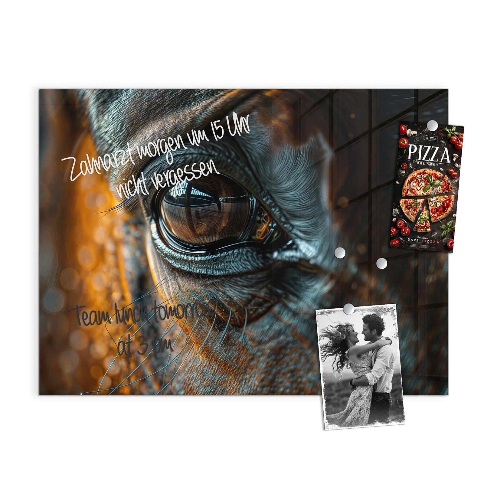 #grösse_120 x 90 cm