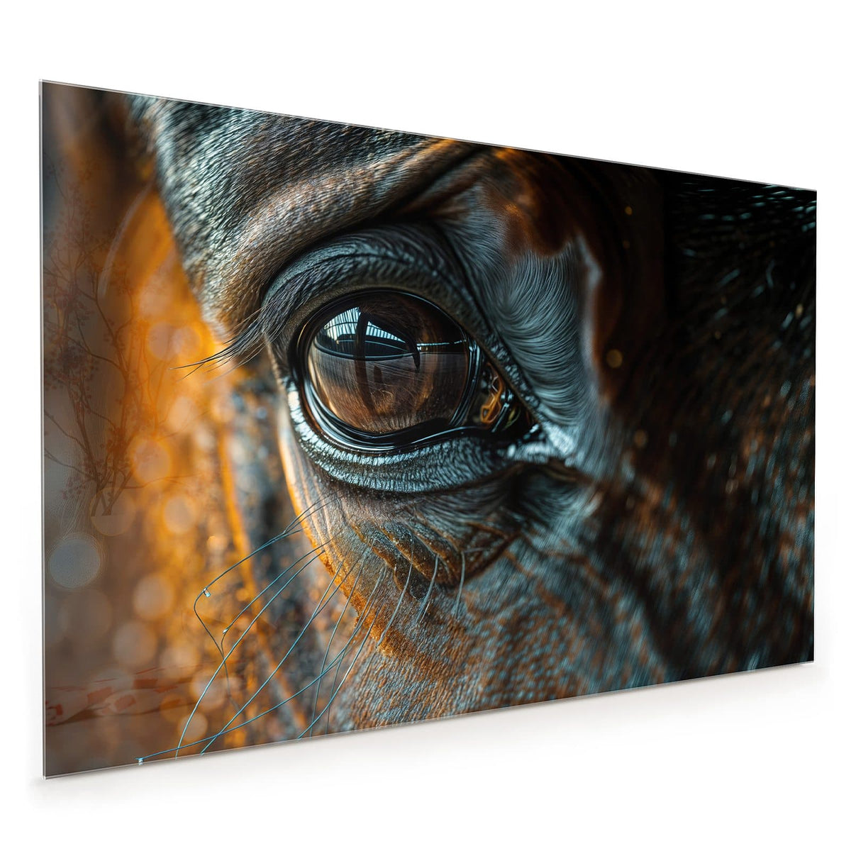Küchenrückwand aus Glas im Hochformat mit Motiv Pferdeauge im Goldlicht: Nahaufnahme eines Pferdeauges, warmes goldenes Streiflicht auf Fell und Wimpern