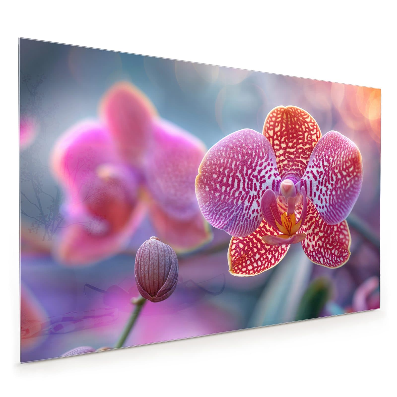 #80 x 120 cm_