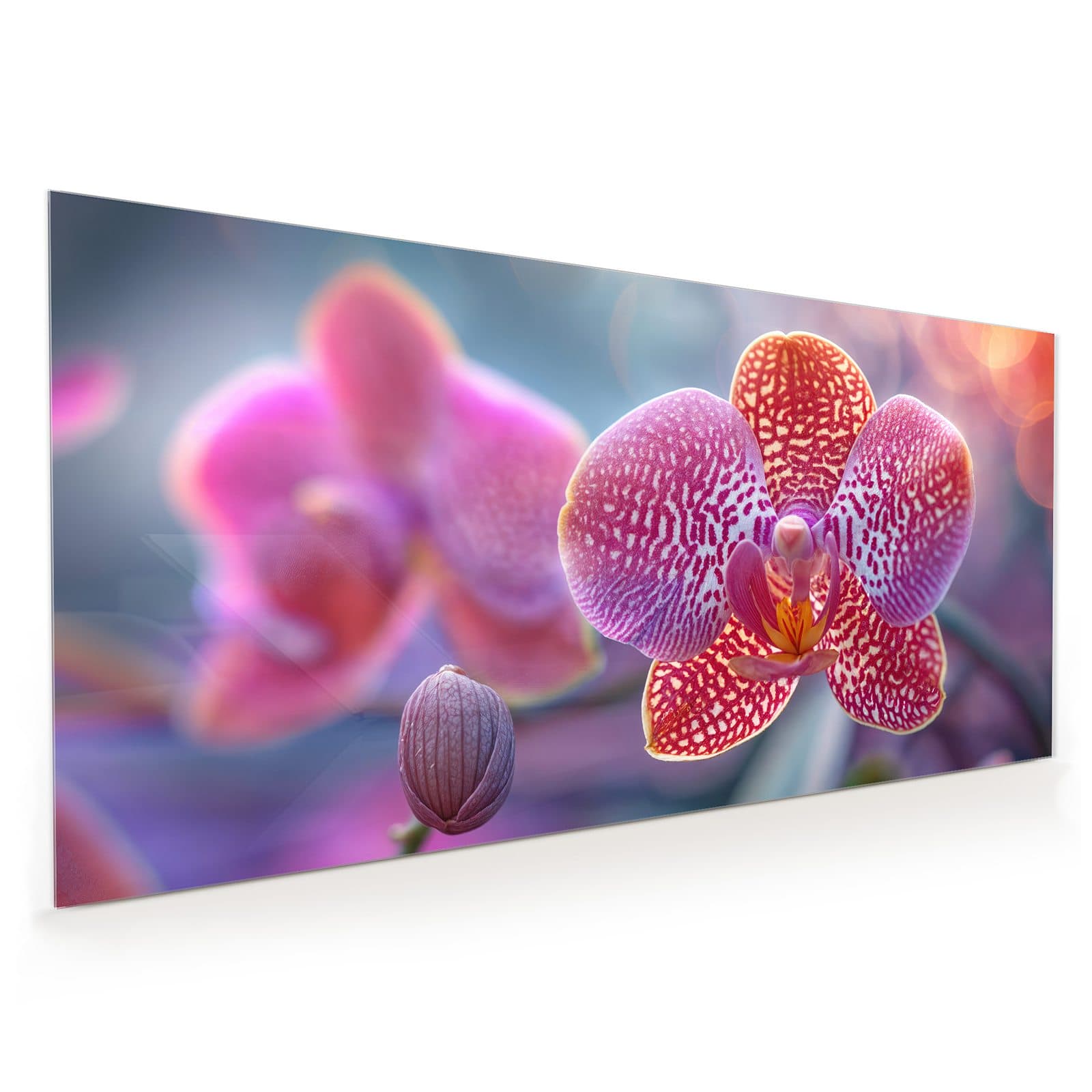 #60 x 120 cm_