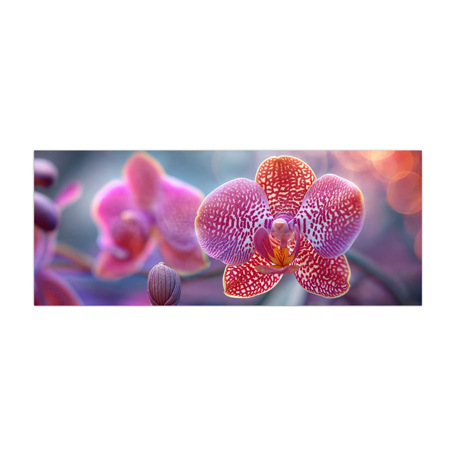 #grösse_40 x 100 cm #grösse_50 x 125 cm #grösse_60 x 150 cm