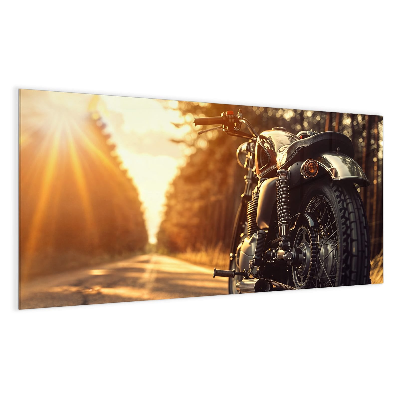 #grösse_100 x 50 cm