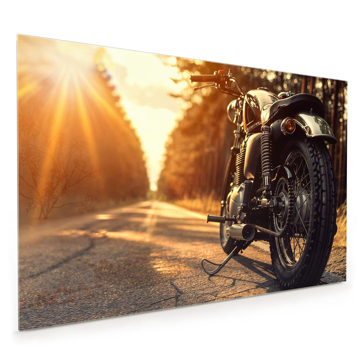 Küchenrückwand aus Glas im Hochformat: Klassisches Motorrad von schräg hinten auf Waldstraße, Sonne steht tief dahinter, goldenes Gegenlicht