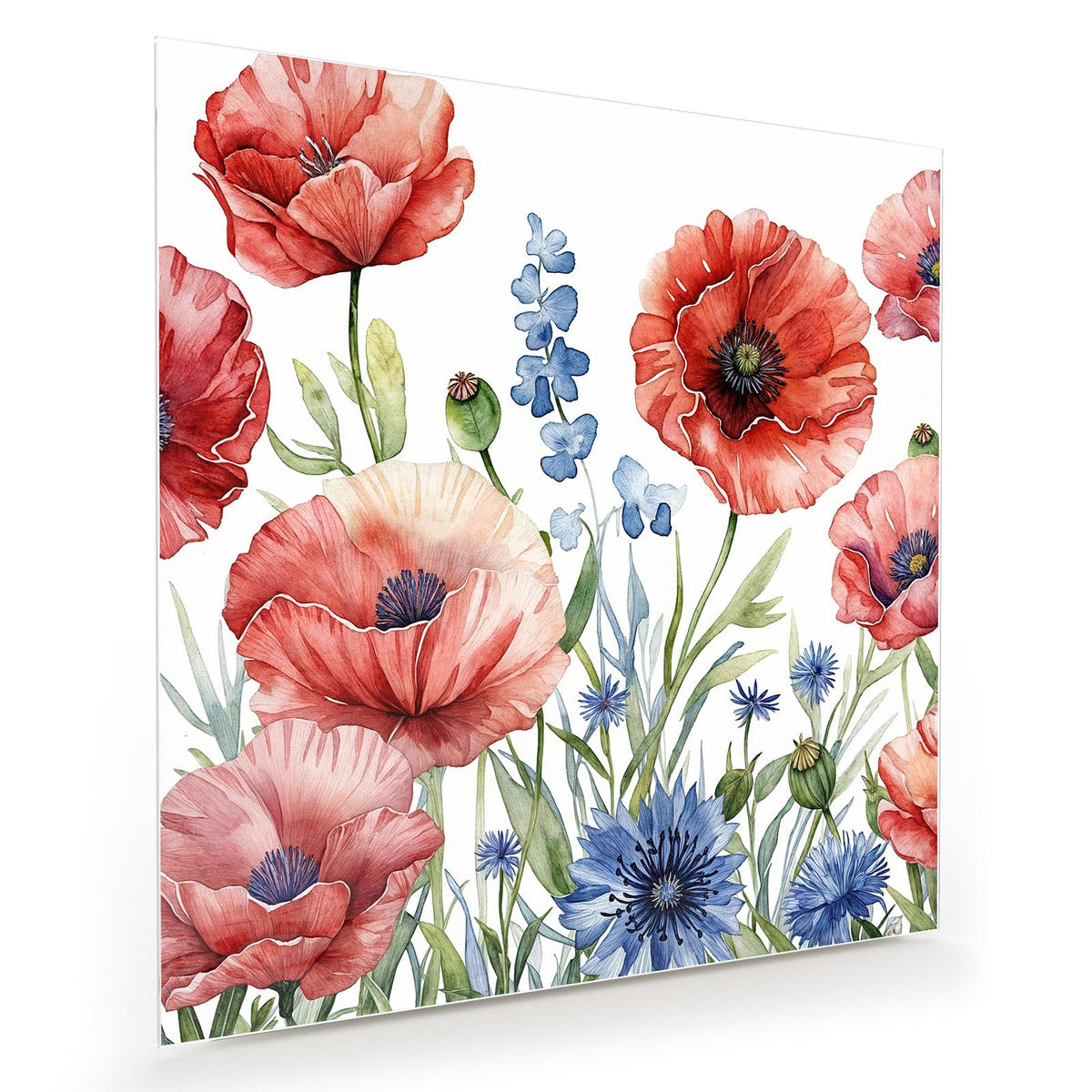 Aquarell mit rotem Klatschmohn und blauen Kornblumen auf weißem Grund