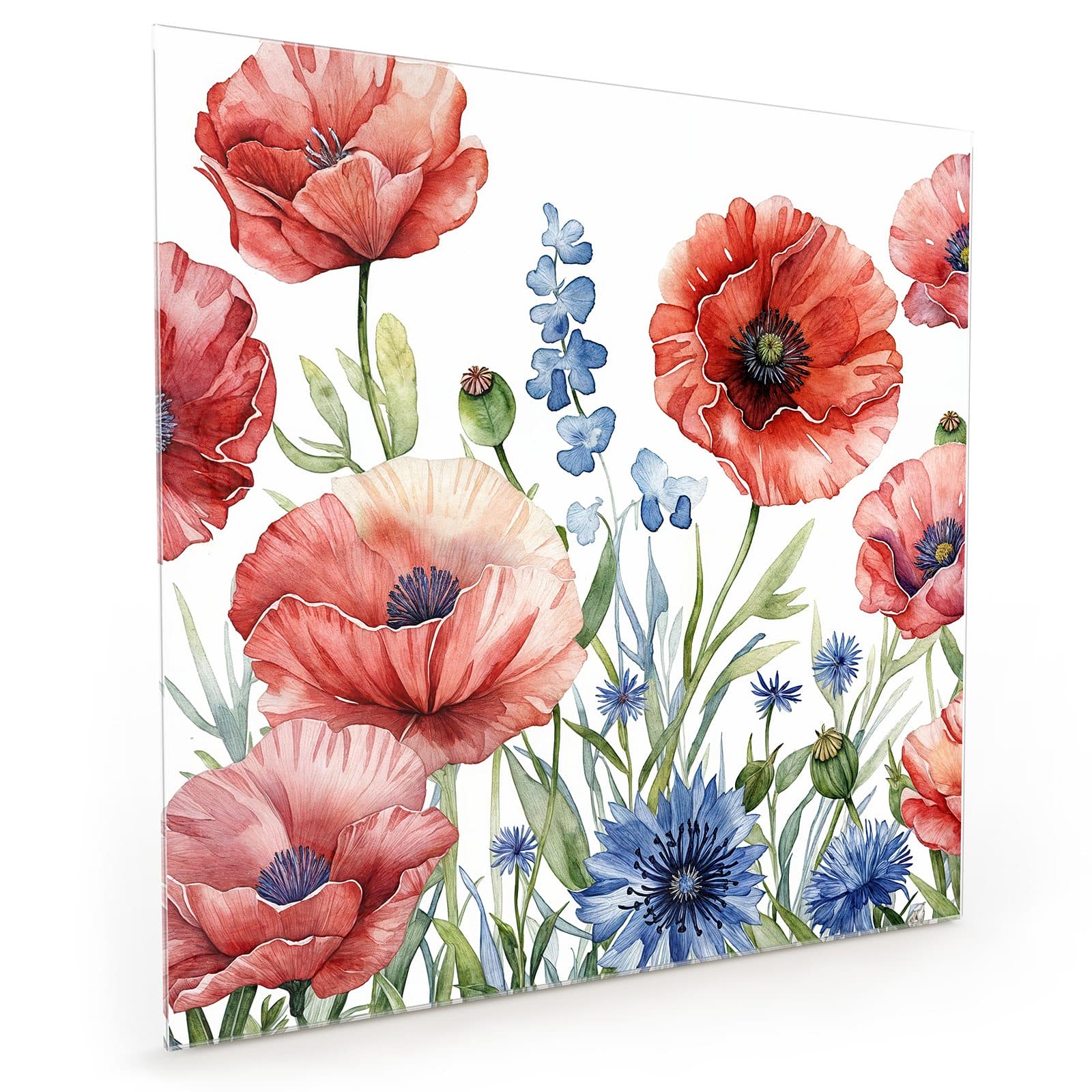 #70 x 70 cm_