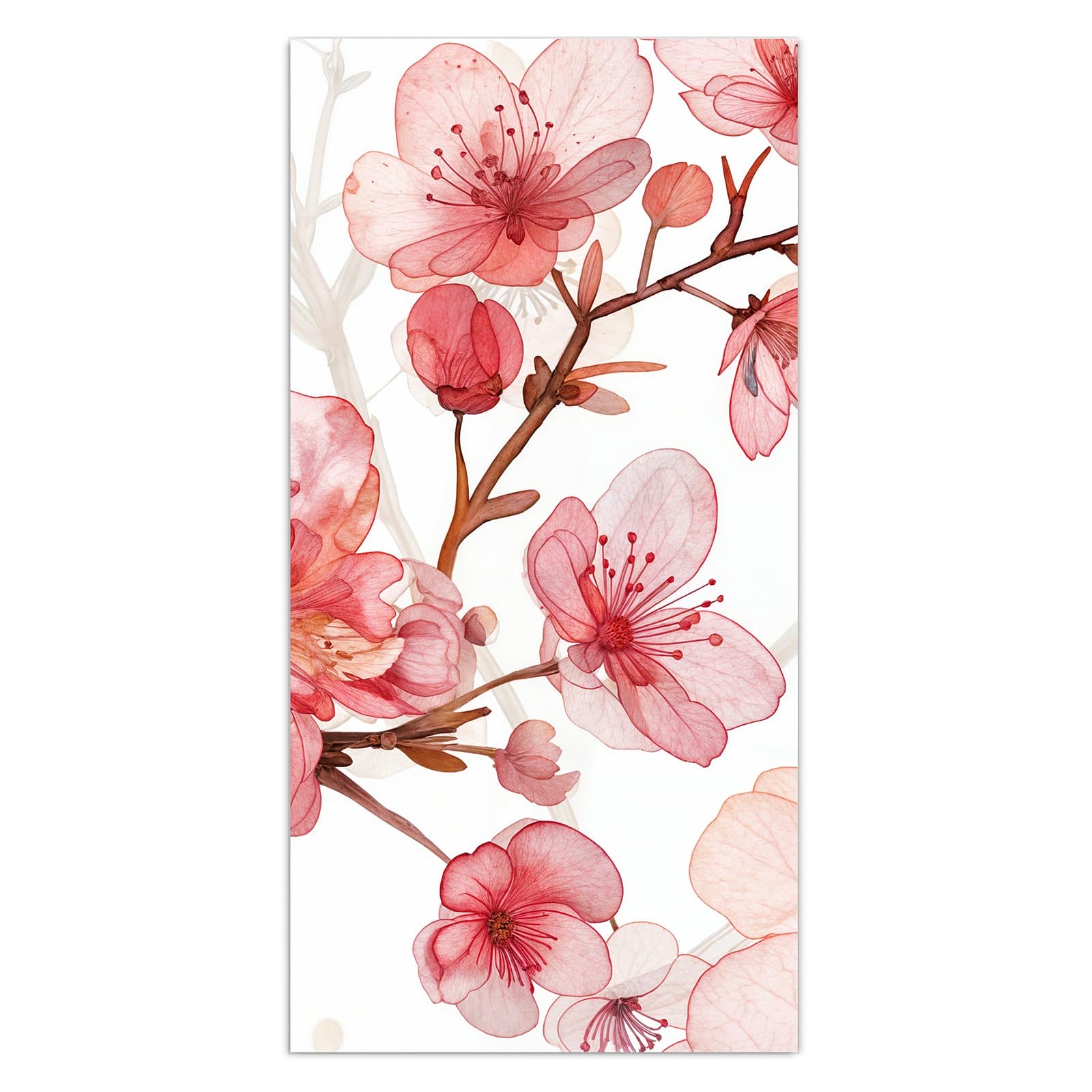 #grösse_30 x 60 cm #grösse_40 x 80 cm #grösse_50 x 100 cm #grösse_55 x 110 cm #grösse_60 x 120 cm