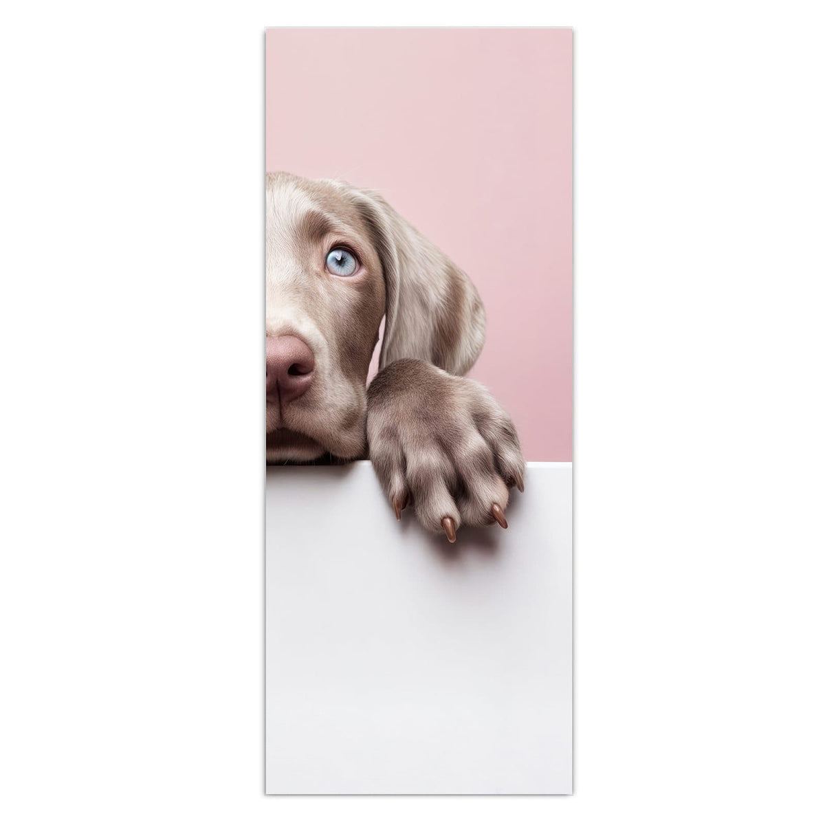 Wandbild - Weimaraner Welpe - Hochformat – Welpe mit blauen Augen vor Rosa