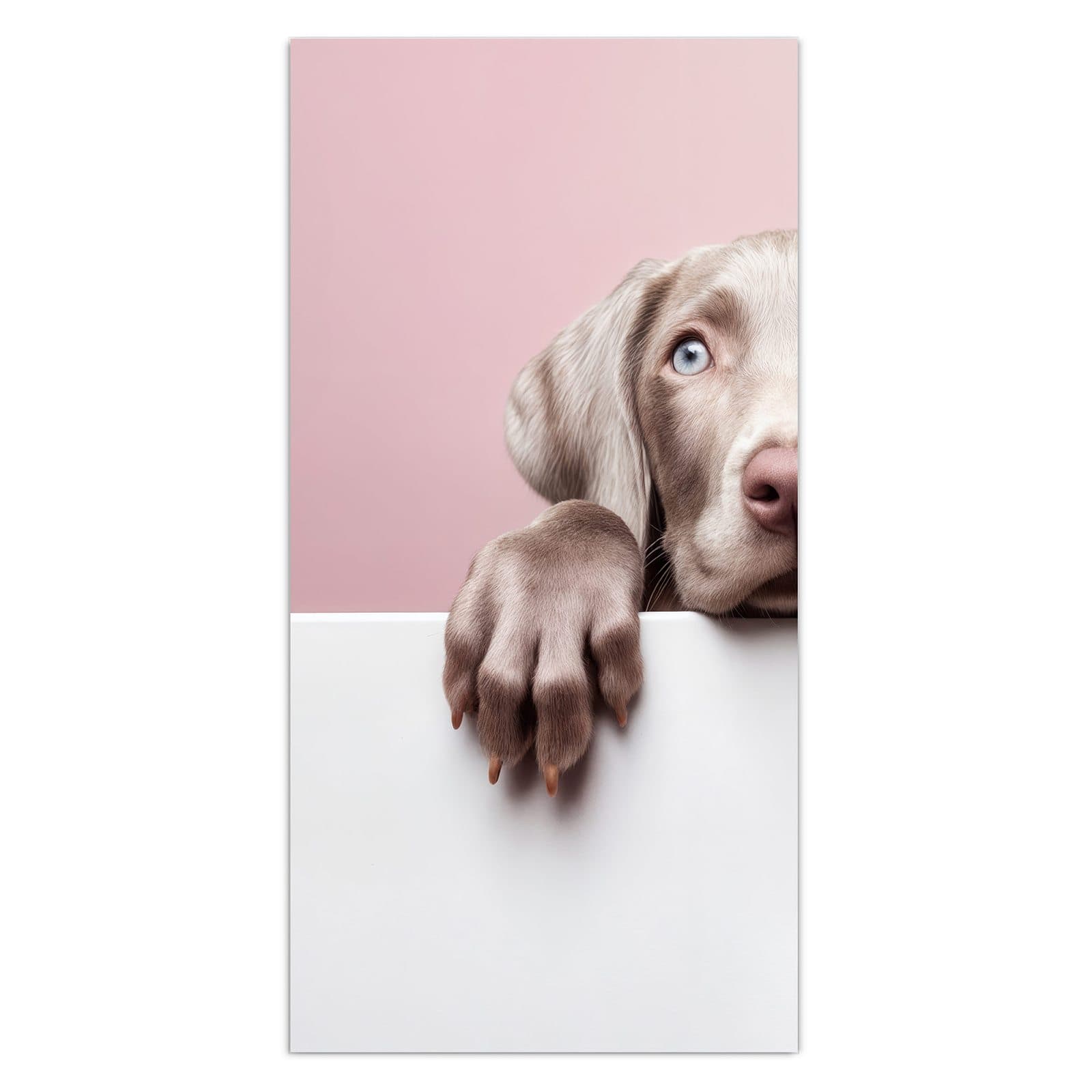 #grösse_30 x 60 cm #grösse_40 x 80 cm #grösse_50 x 100 cm #grösse_55 x 110 cm #grösse_60 x 120 cm