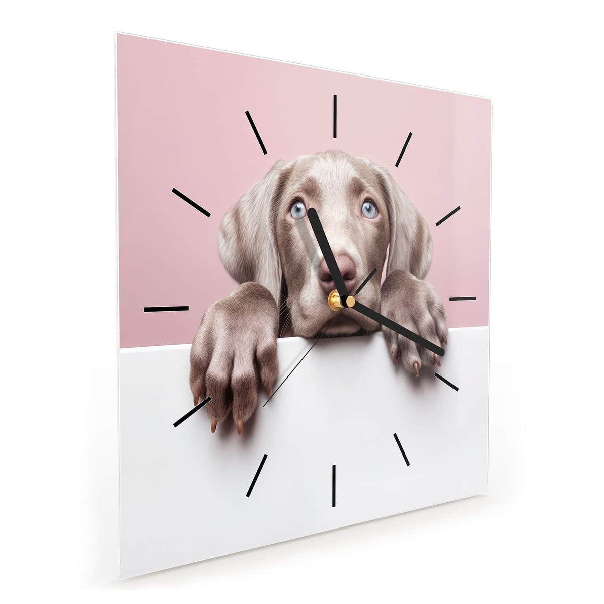 Quadratische Wanduhr aus Glas Weimaraner Welpe schräg von der Seite, 4 mm starkes Glas