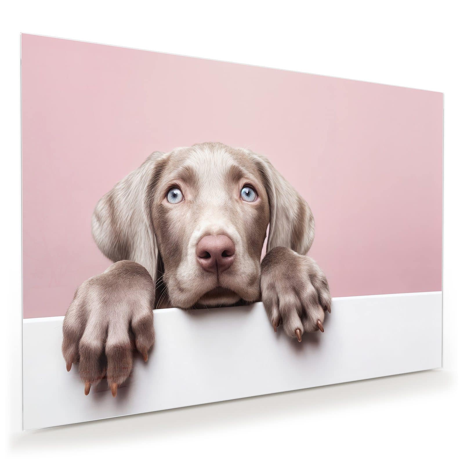 #grösse_100 x 70 cm