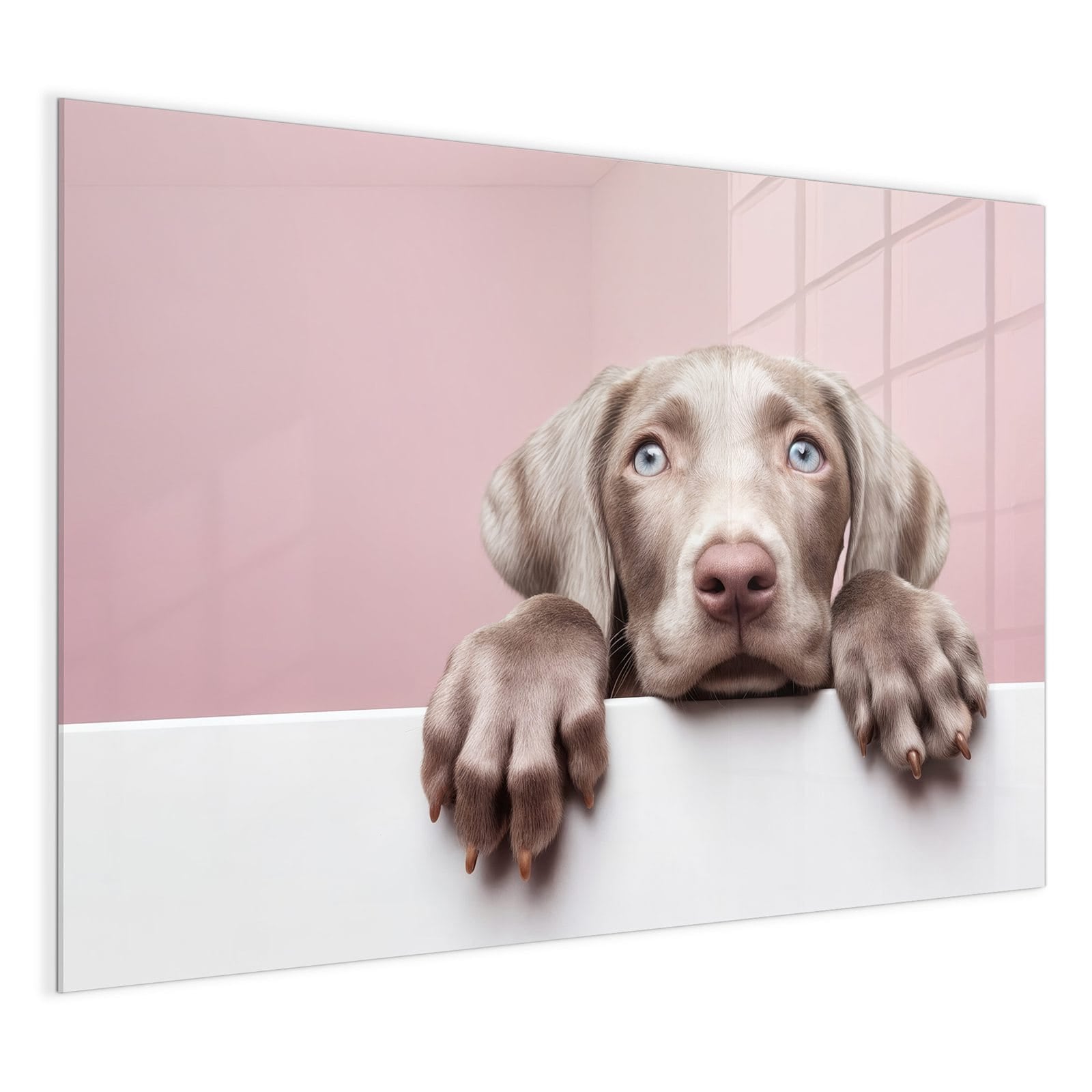 #grösse_120 x 90 cm