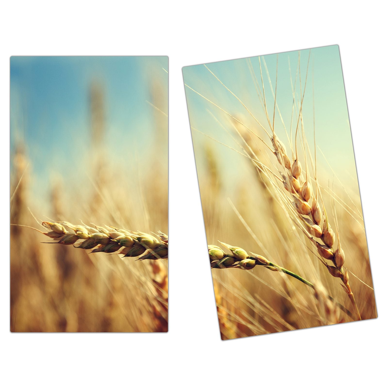 #grösse_2-teilig (je 30x52cm)