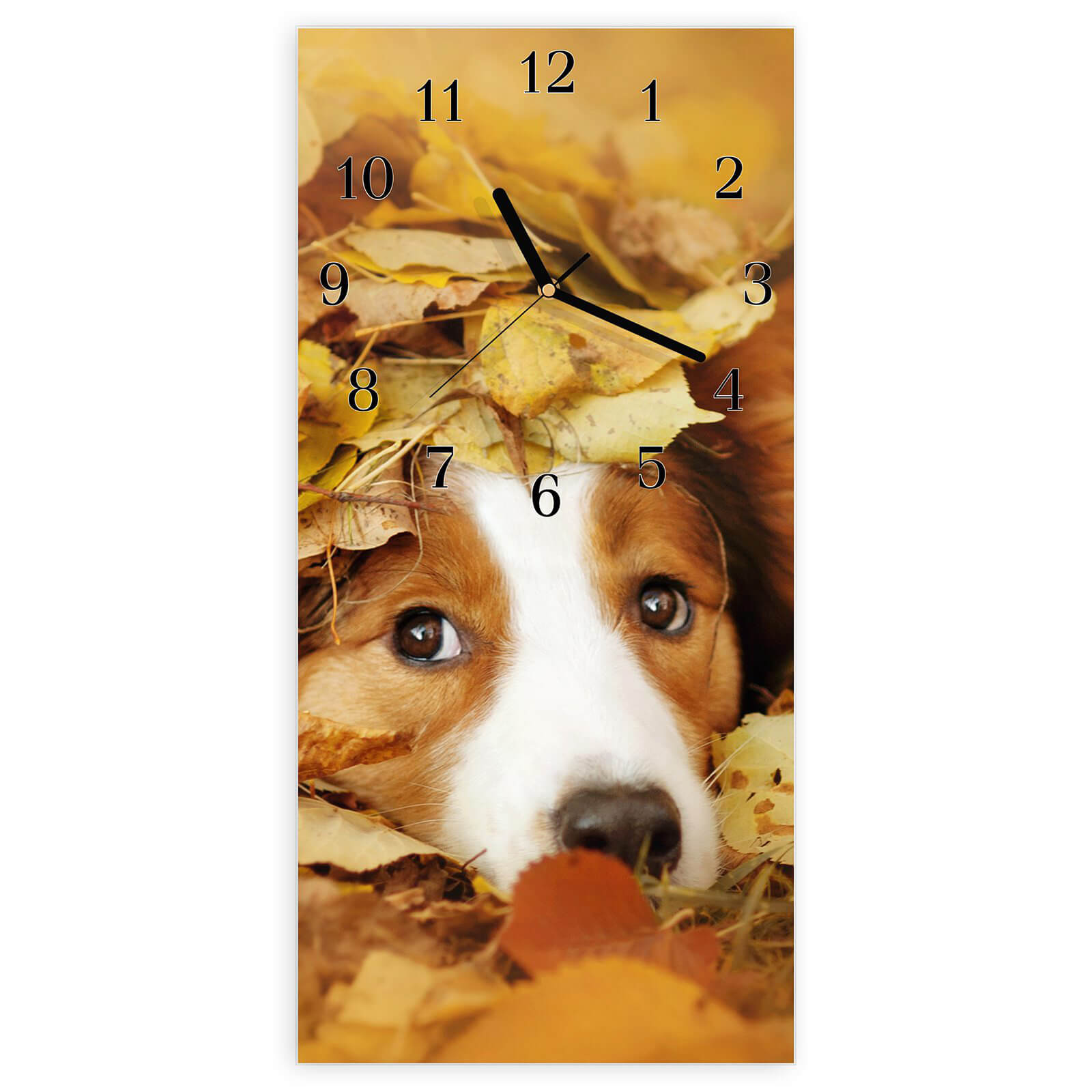 #ziffernblatt_klassisch