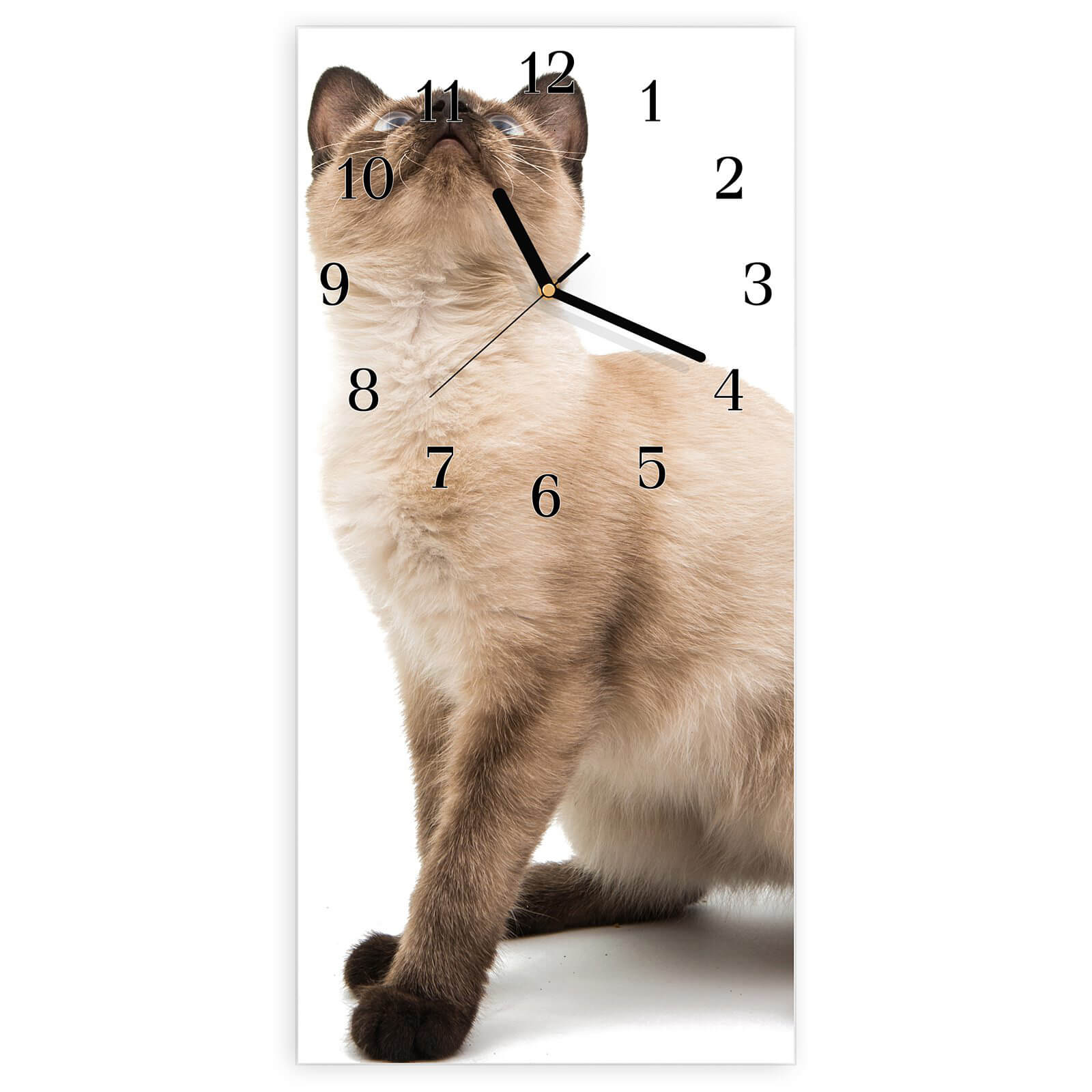 #ziffernblatt_klassisch