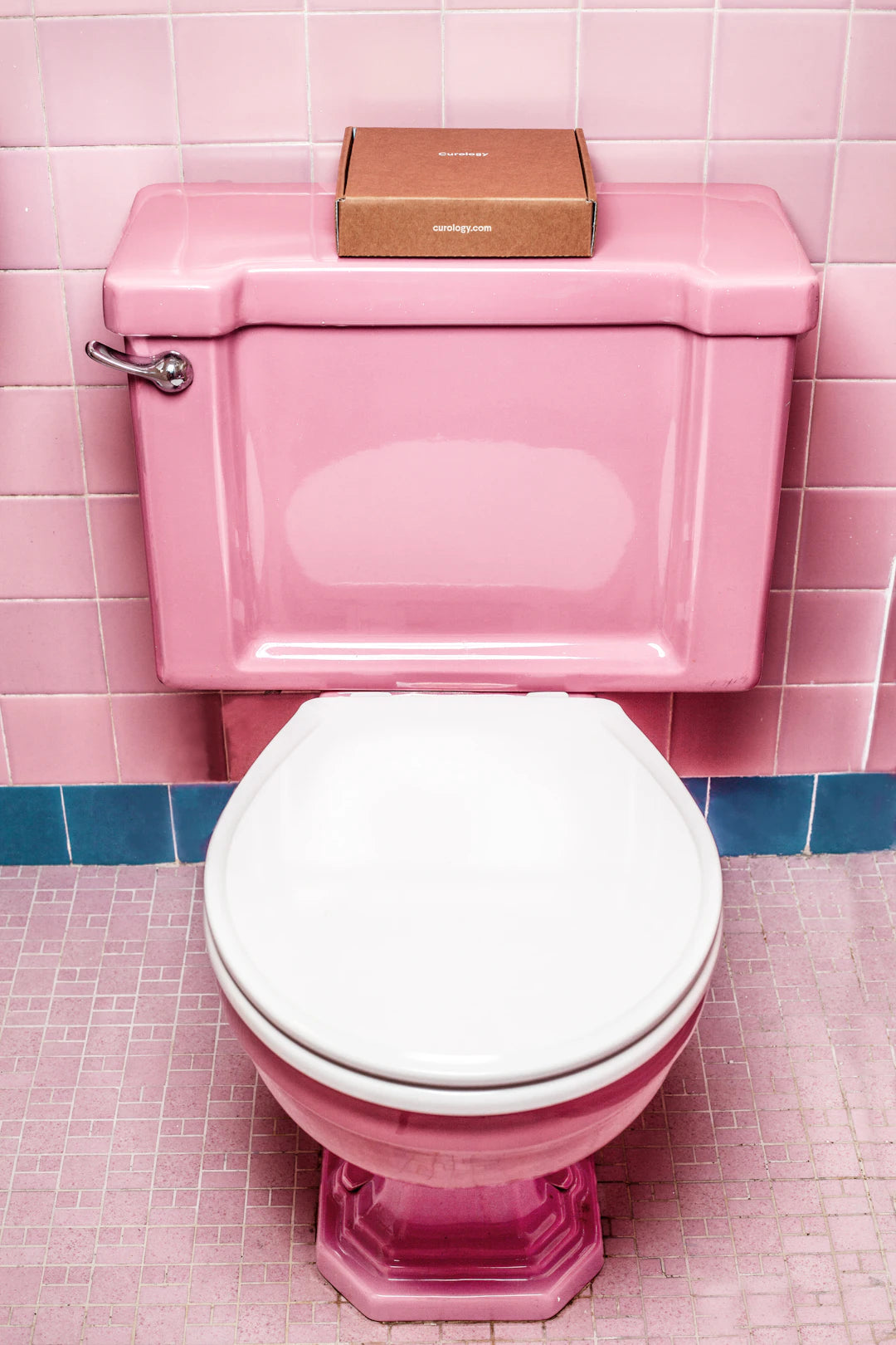Bedruckte WC-Sitze Ein Geschenk, das überrascht