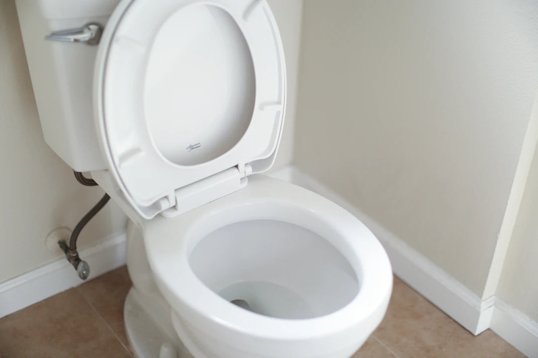 Die spannende Evolution des WC-Sitzes