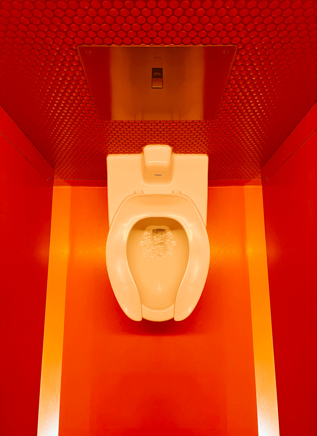 Die Geschichte der WC-Sitze Von traditionell zu bedruckt