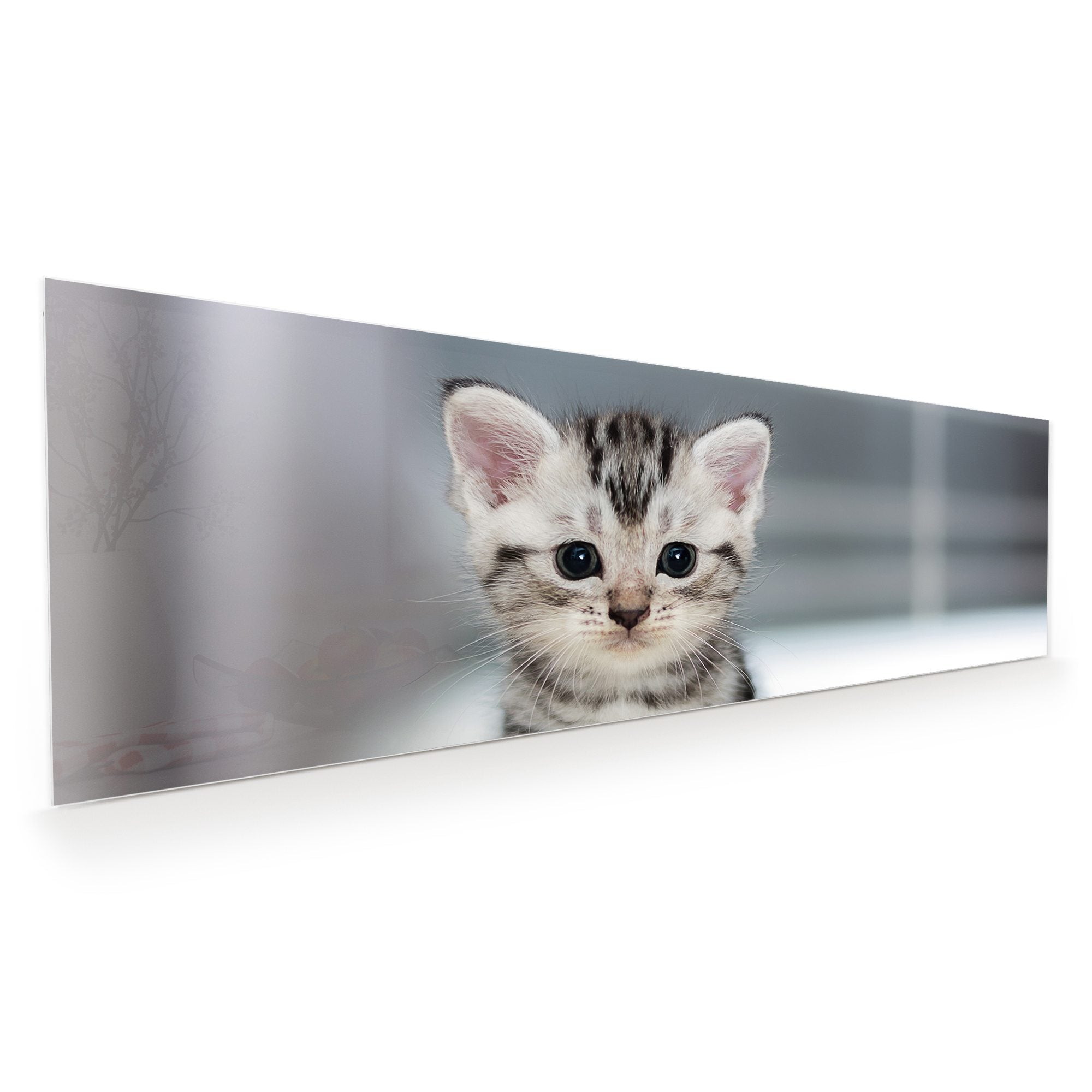 Wandbild Glasbild Kleines Katzenbaby