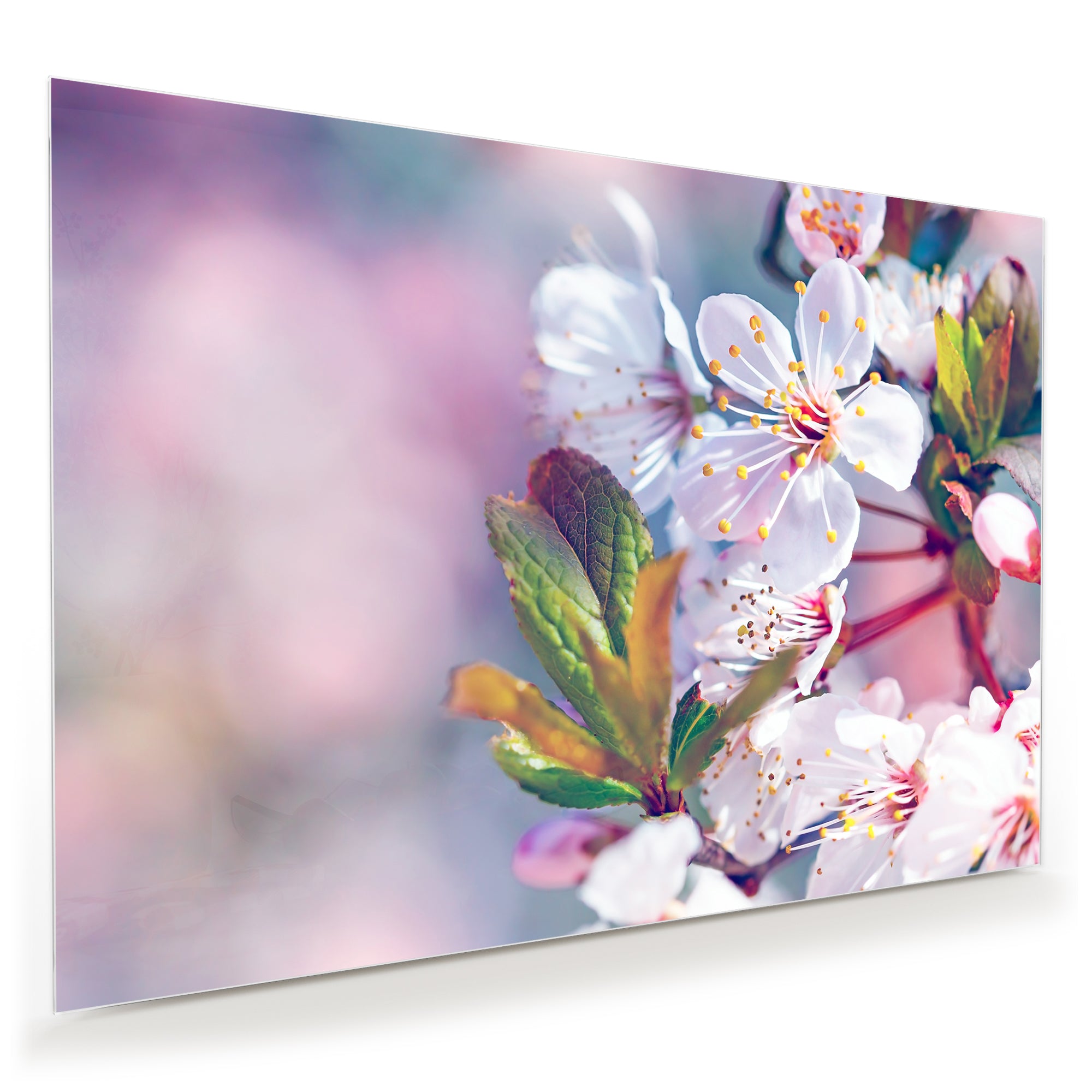 Wandbild Glasbild Schöne Blüten