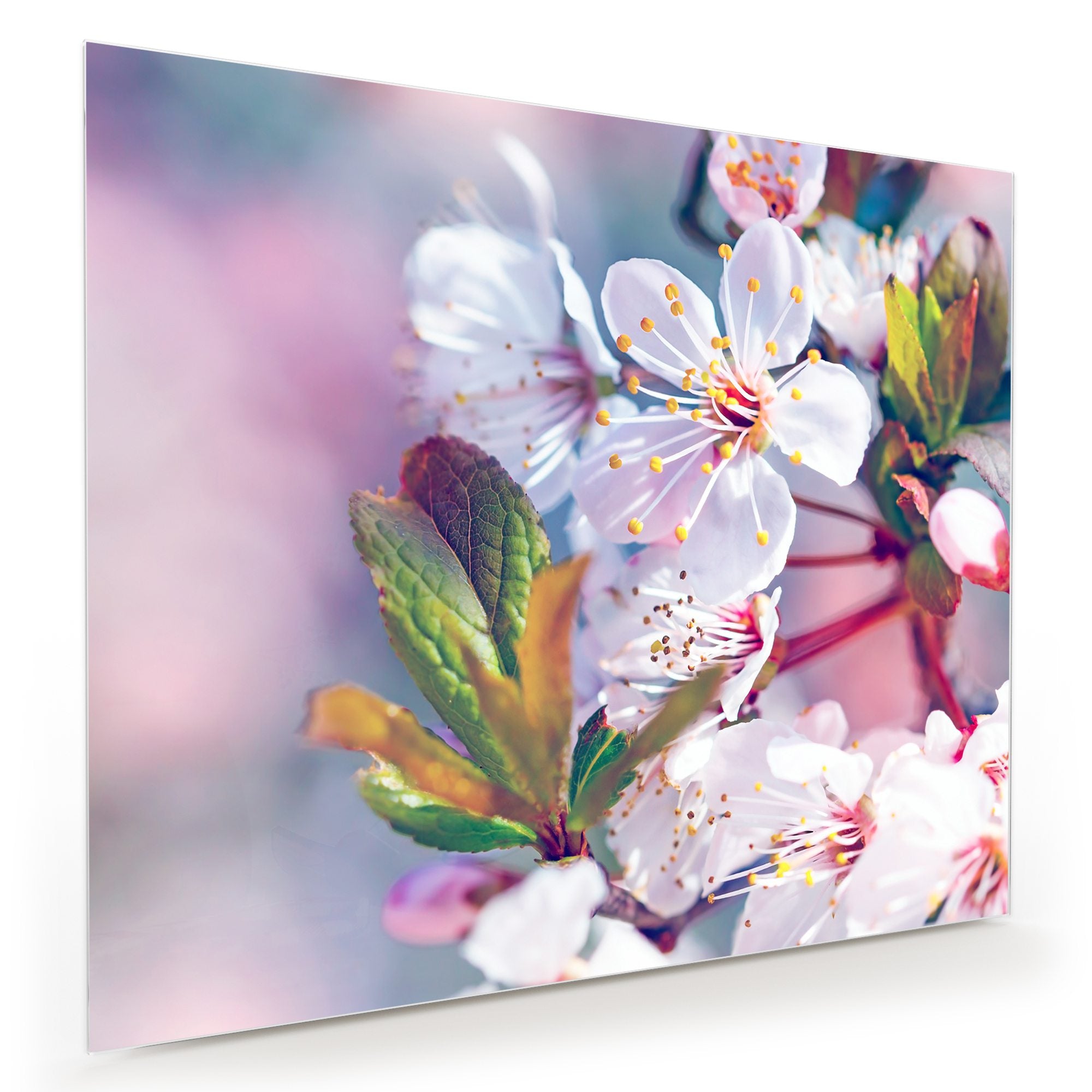 Wandbild Glasbild Schöne Blüten