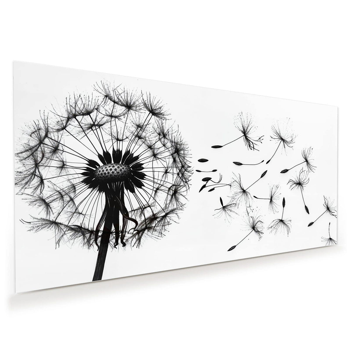 Schwarze Pusteblumen-Silhouette mit davonfliegenden Samen auf reinweißem Grund, rein schwarzweiß.