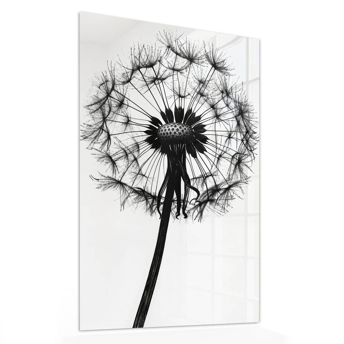 11 Größen – von 30 × 60 bis 60 × 150 cm – Wandbild - Pusteblume auf Weiß - Hochformat