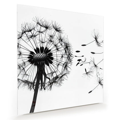 Wandbild mit dem Motiv Pusteblume auf Weiß