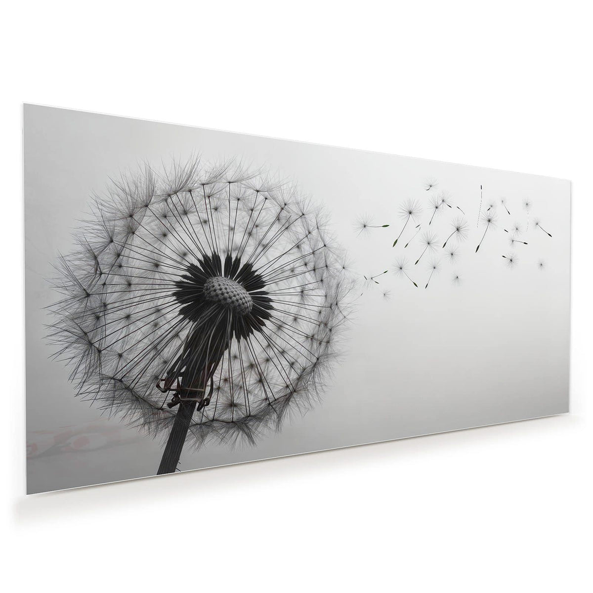 Schwarzweiße Pusteblume, deren Schirmchen nach rechts davonfliegen