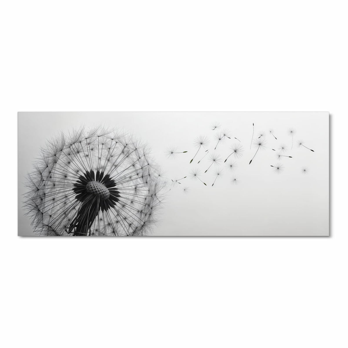 Schwarzweiße Pusteblume, deren Schirmchen nach rechts davonfliegen
