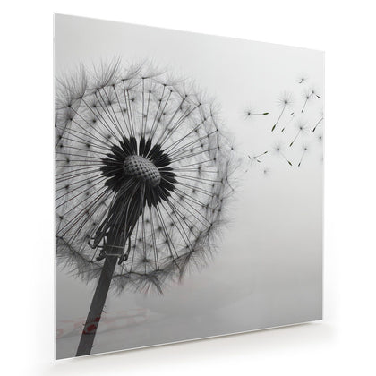Wandbild mit dem Motiv Pusteblume im Wind