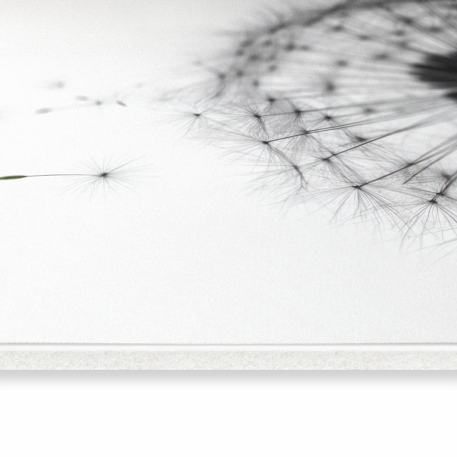 Langlebiger rutschfester Küchenteppich mit Motiv Pusteblume im Wind in seitlicher Ansicht