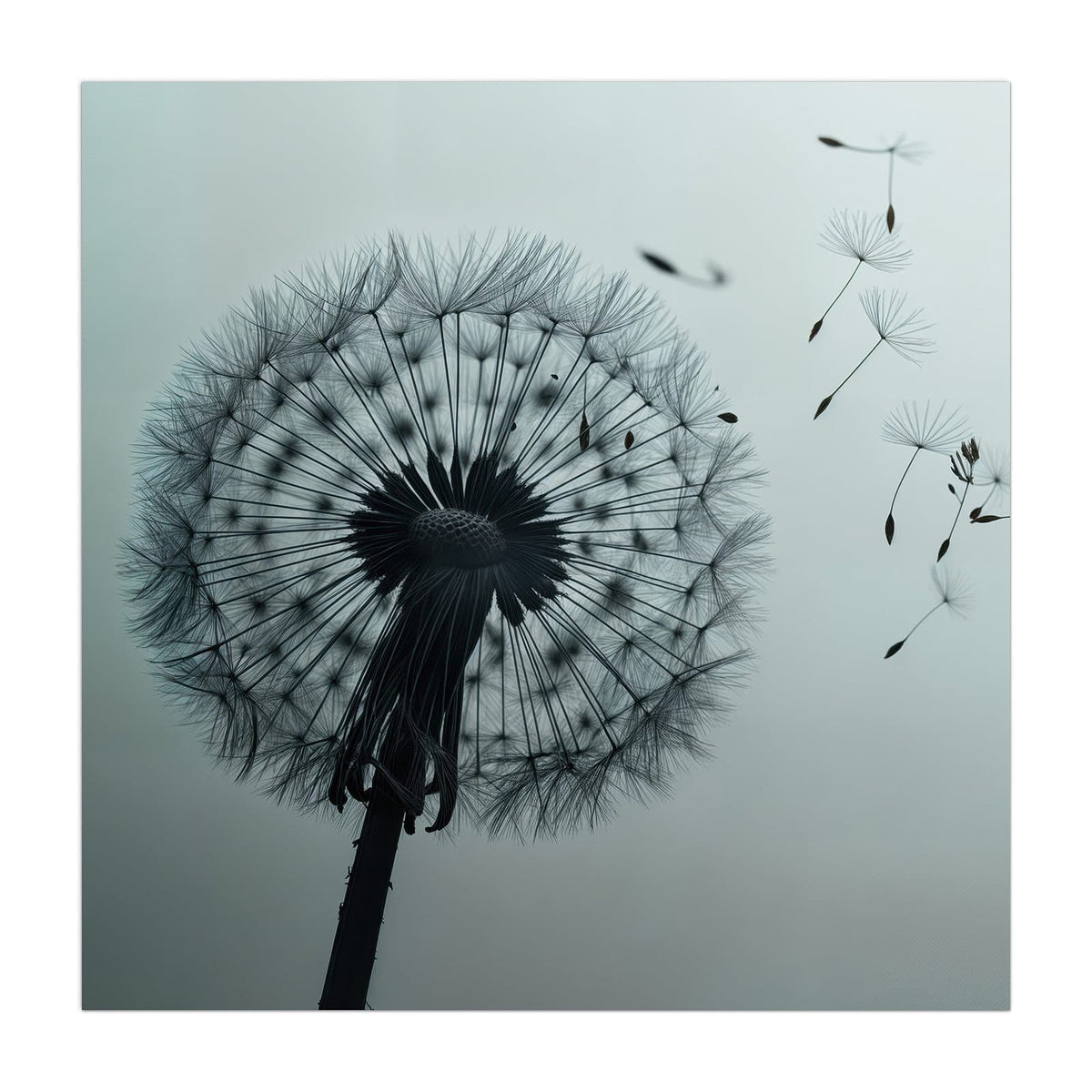 Pusteblumen-Silhouette vor kühlem graublauem Verlauf, rechts wehen einzelne Samen davon.