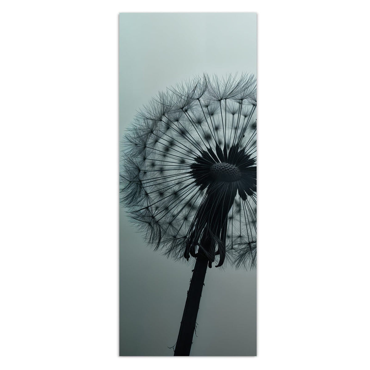 Pusteblumen-Silhouette vor kühlem graublauem Verlauf, rechts wehen einzelne Samen davon.