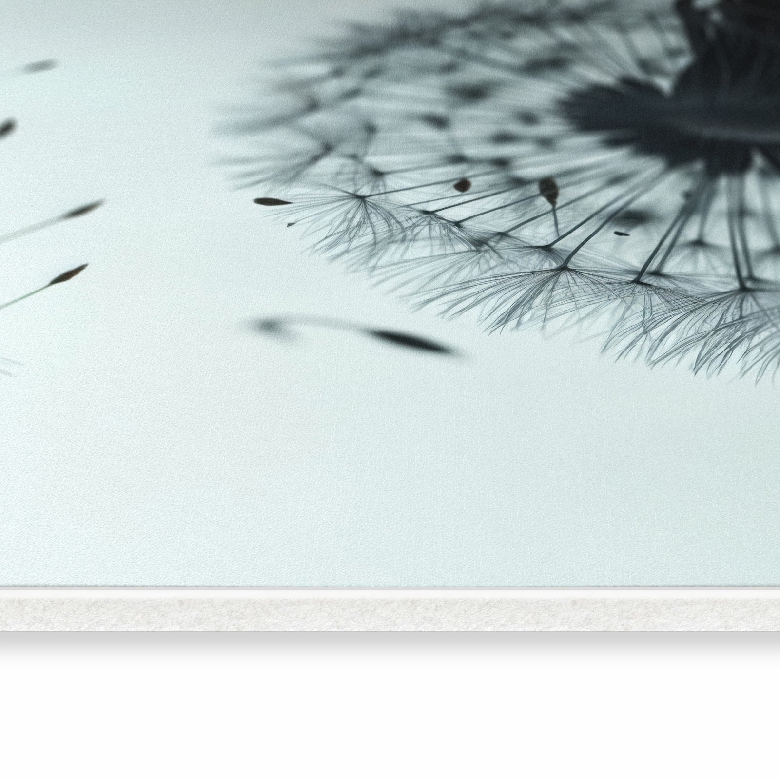 Waschbarer großer Küchenteppich mit Motiv In Wind Pusteblume in seitlicher Ansicht