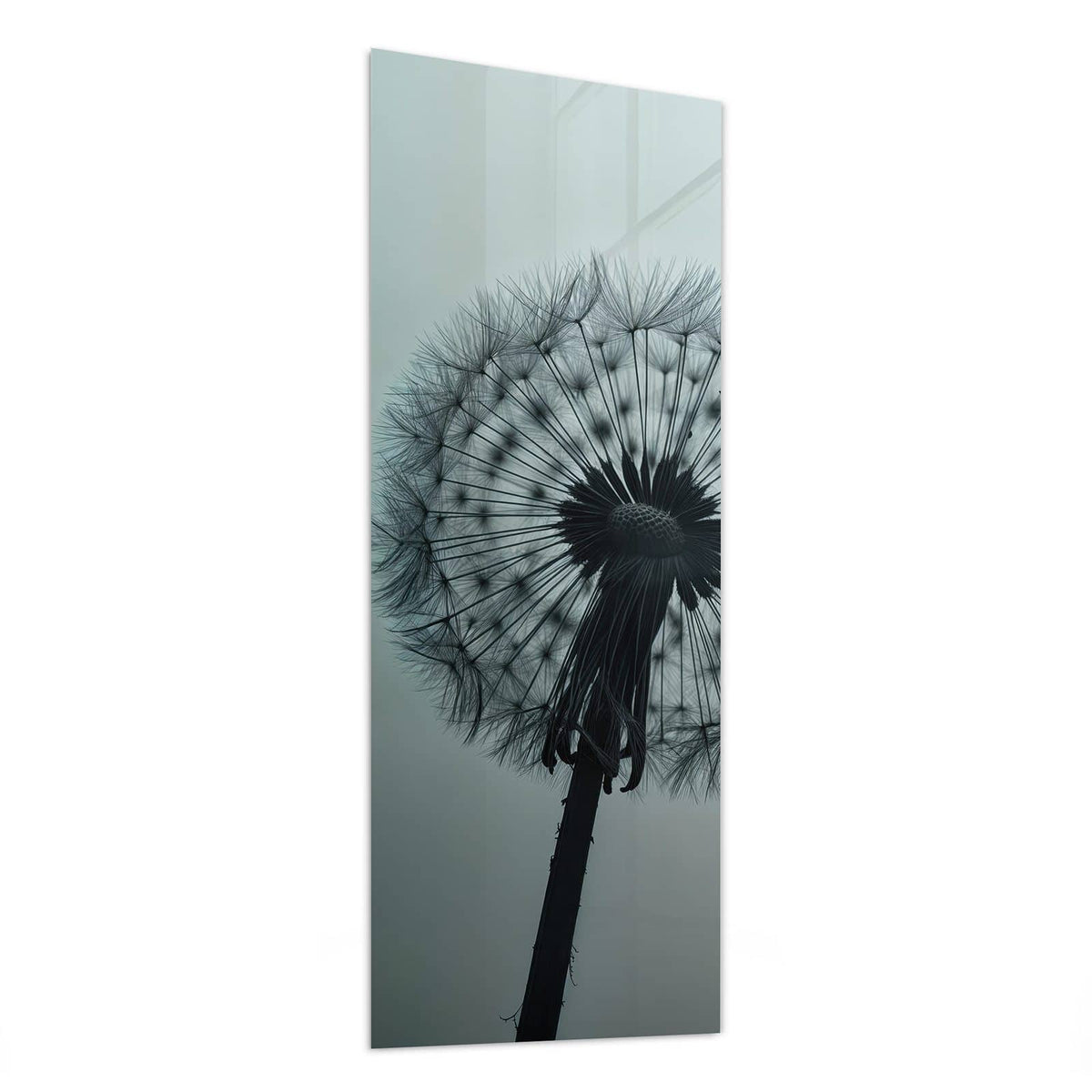 Glasbild Pusteblume in Graublau von der Seite, 4 mm Echtglas