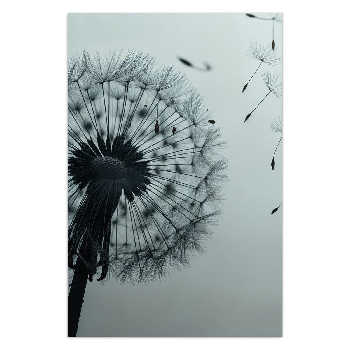 Pusteblumen-Silhouette vor kühlem graublauem Verlauf, rechts wehen einzelne Samen davon.