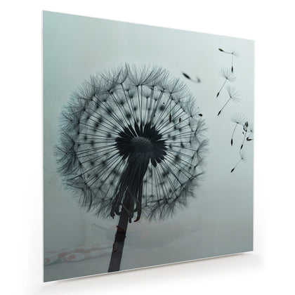 Wandbild mit dem Motiv Pusteblume in Graublau